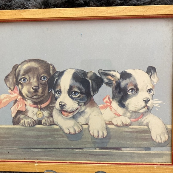 Vintage Puppy Dog Trio. - Picture 14 of 14